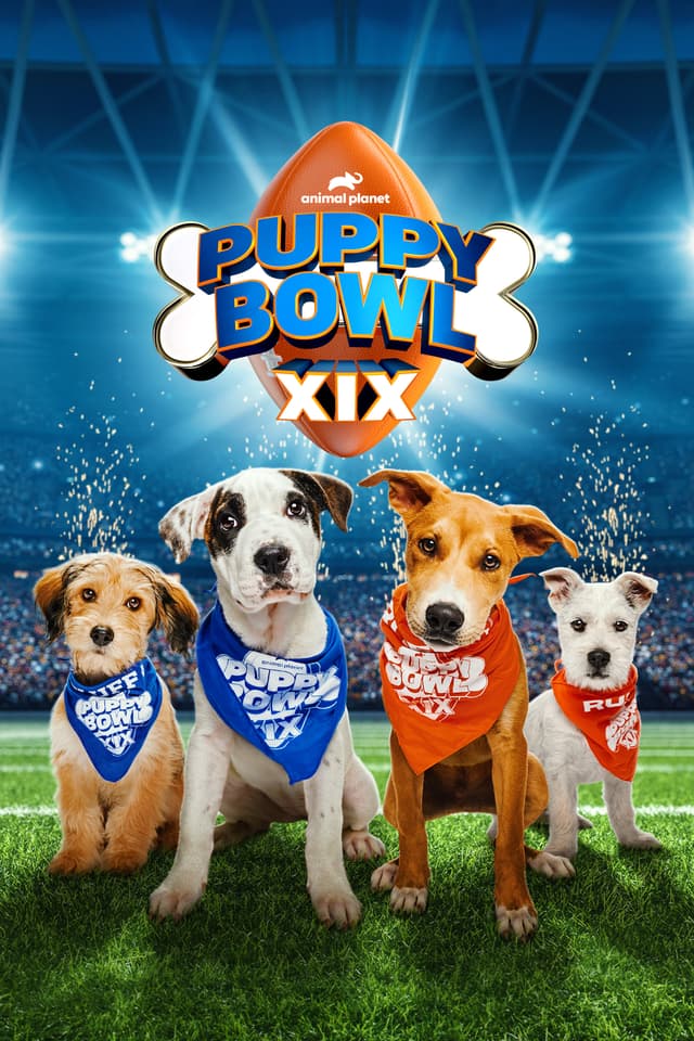 Puppy Bowl