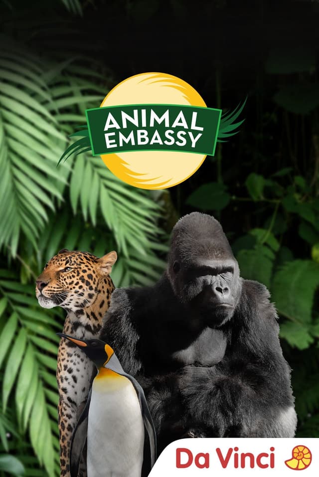 Animal Embassy