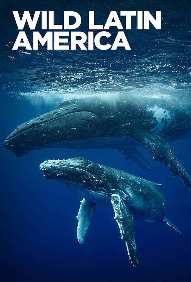 Wild Latin America