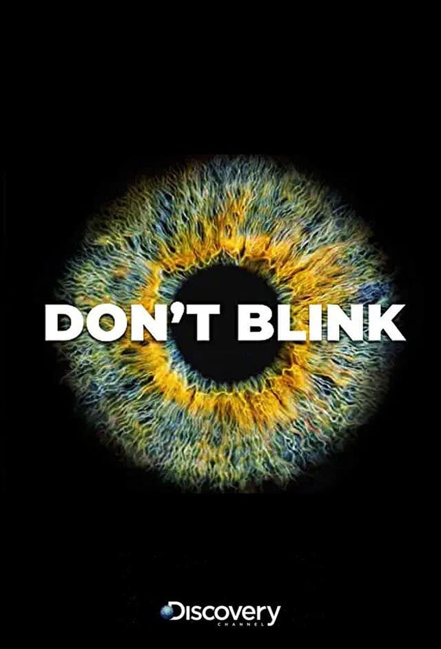 Don't Blink
