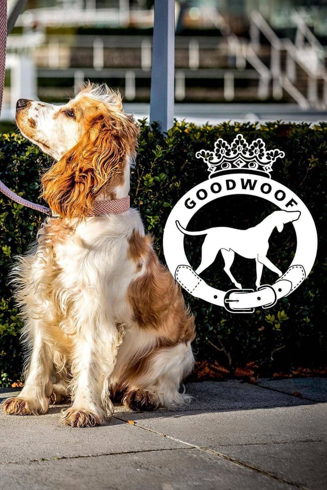 Goodwoof