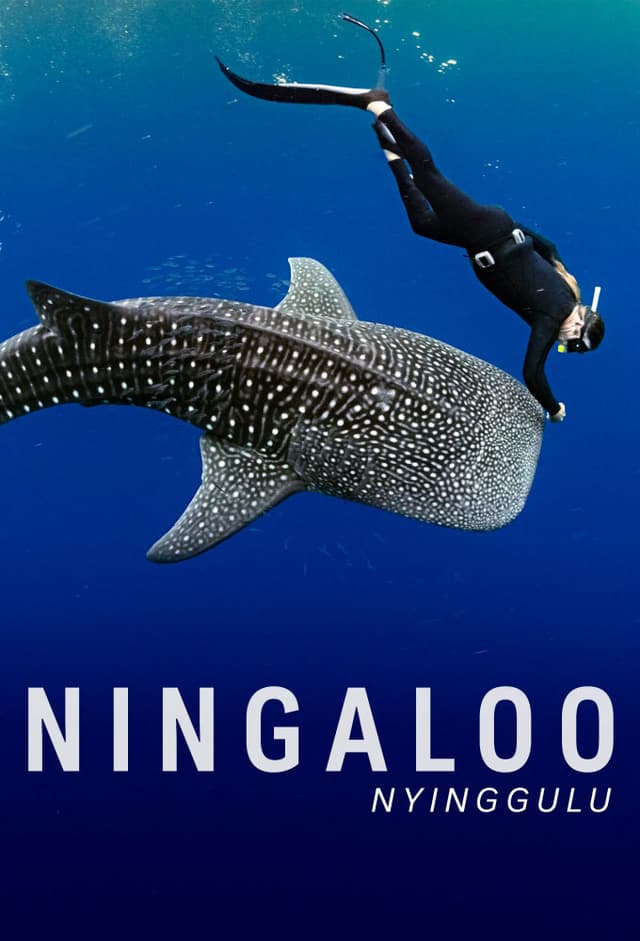 Ningaloo Nyinggulu