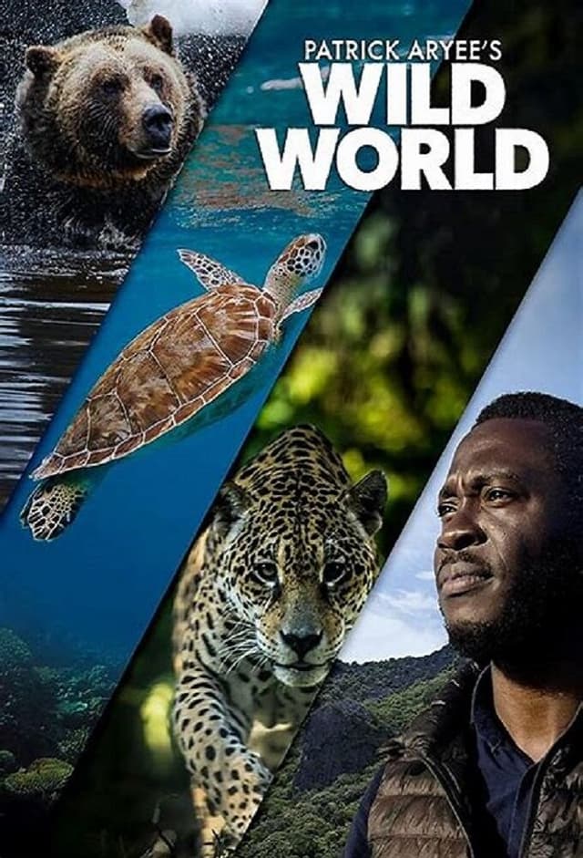 Patrick Aryee's Wild World