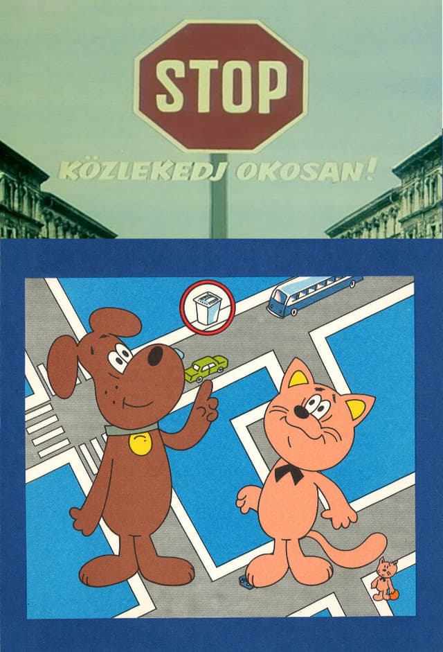 STOP! Közlekedj okosan!