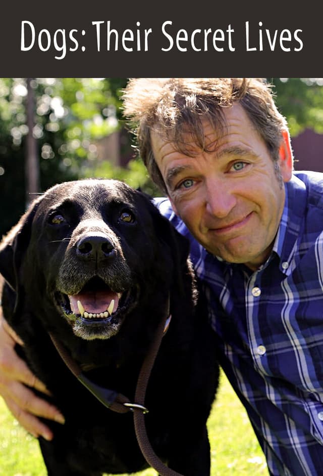 Dogs: Their Secret Lives