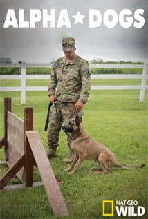 Alpha Dogs