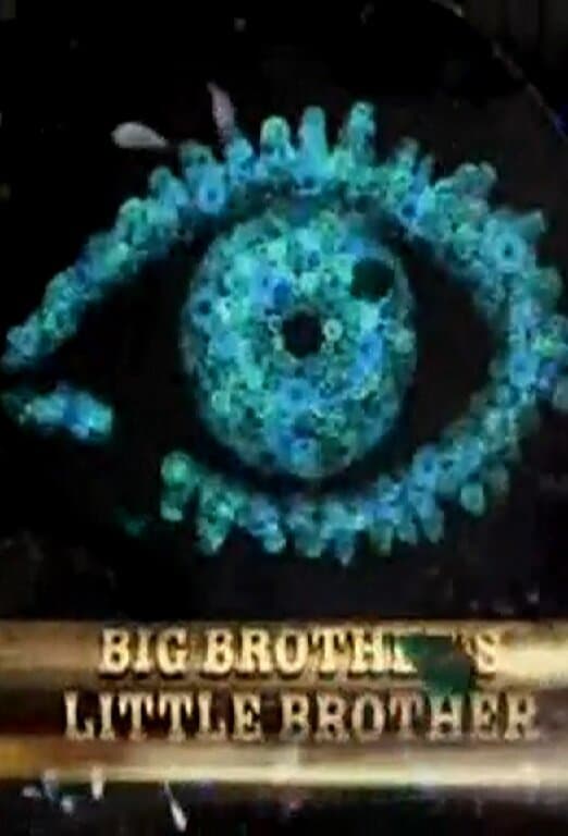 Big Brother's Little Brother
