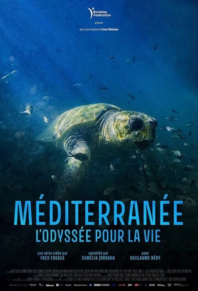 Méditerranée, l'odyssée pour la vie