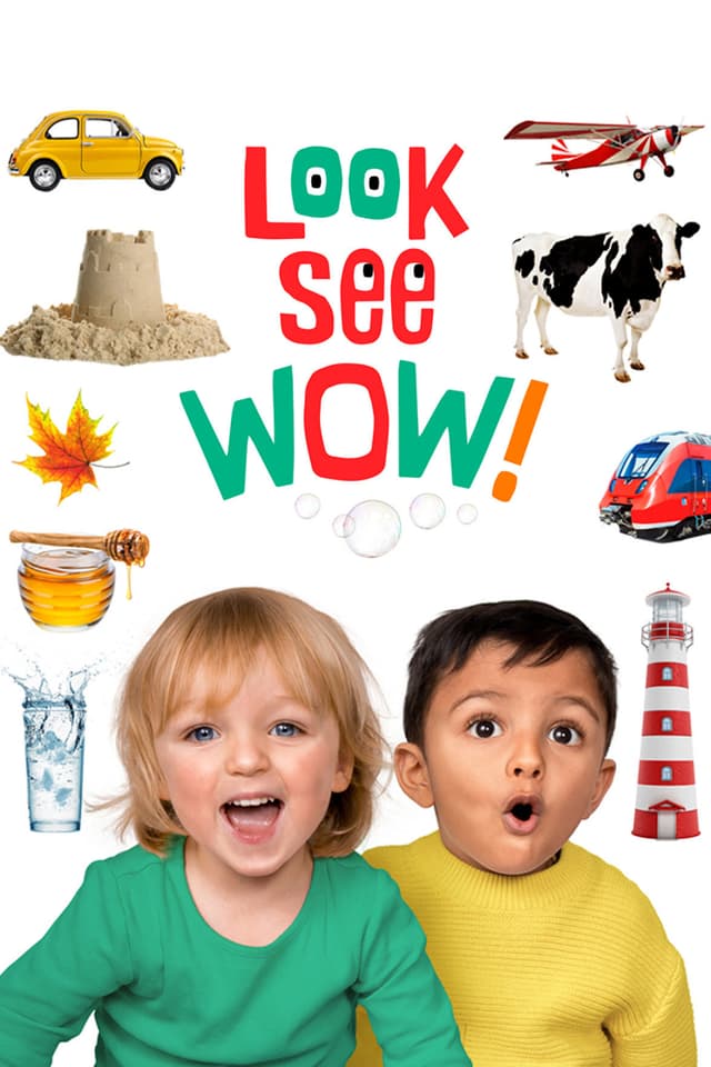 Look See Wow!
