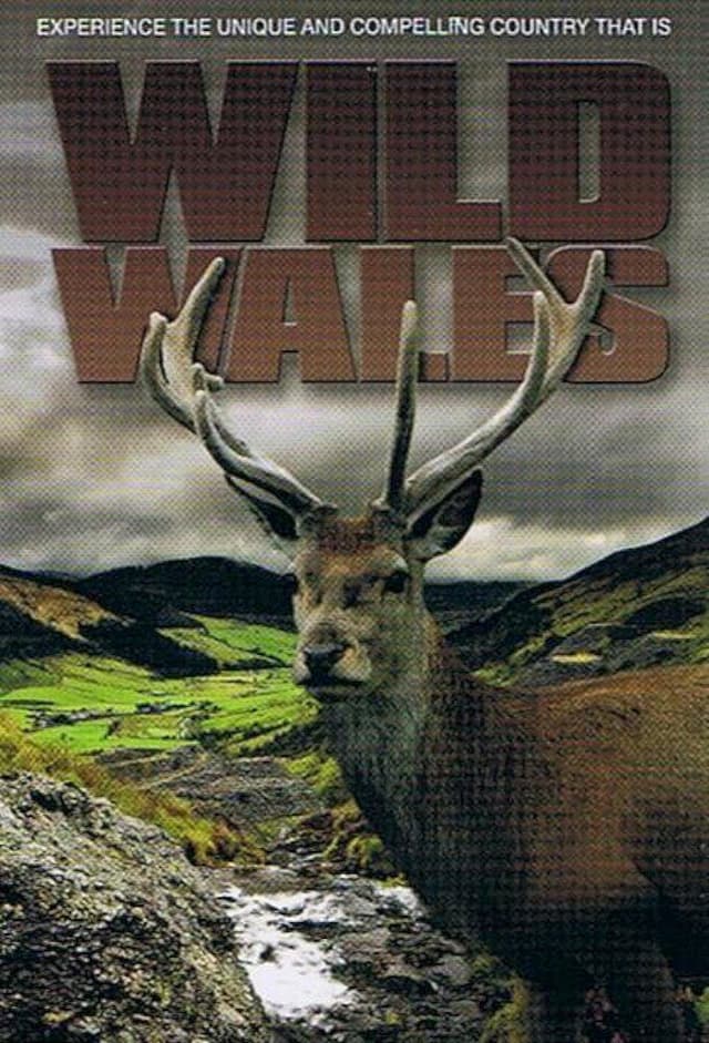 Wild Wales