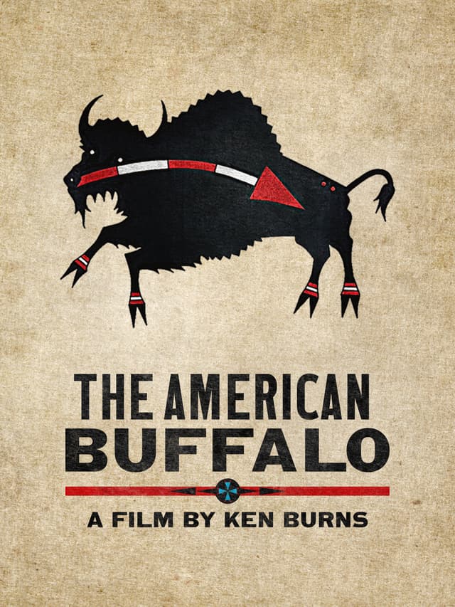 The American Buffalo