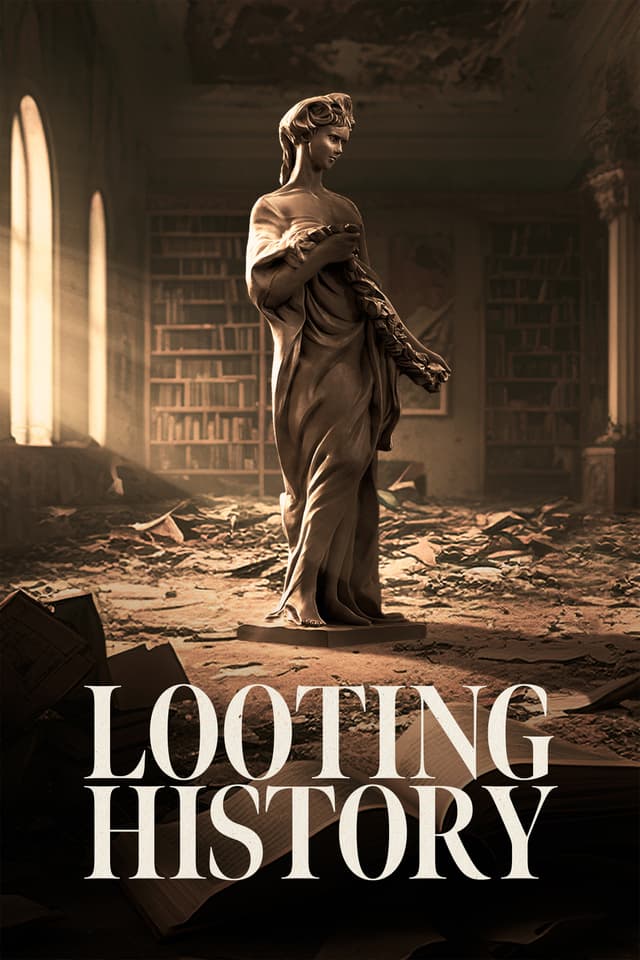 Looting History