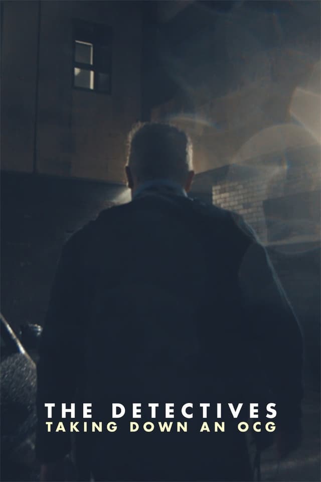 The Detectives: Taking Down an OCG