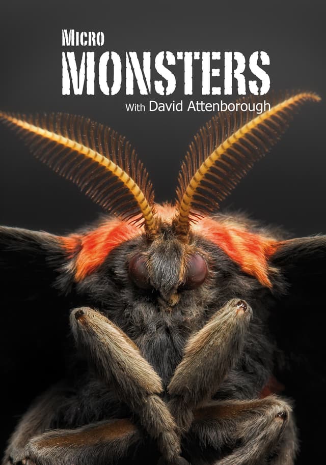 Micro Monsters with David Attenborough