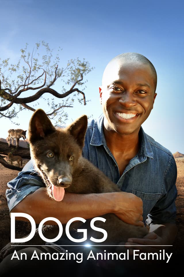 Dogs: An Amazing Animal Family