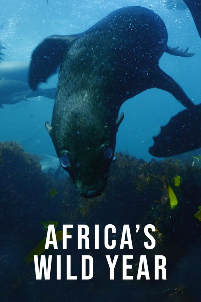 Africa's Wild Year