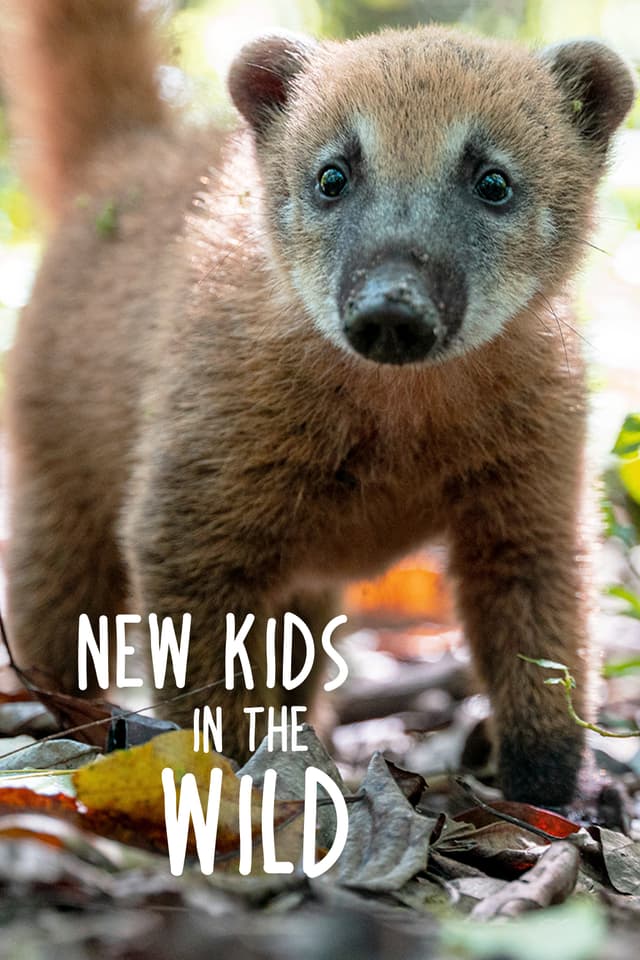 New Kids in the Wild
