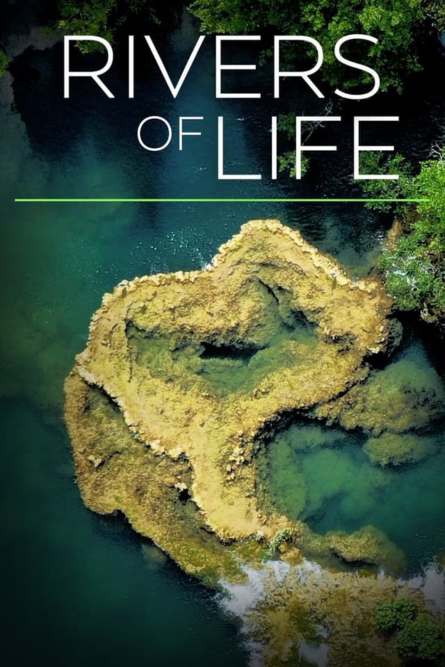 Rivers of Life