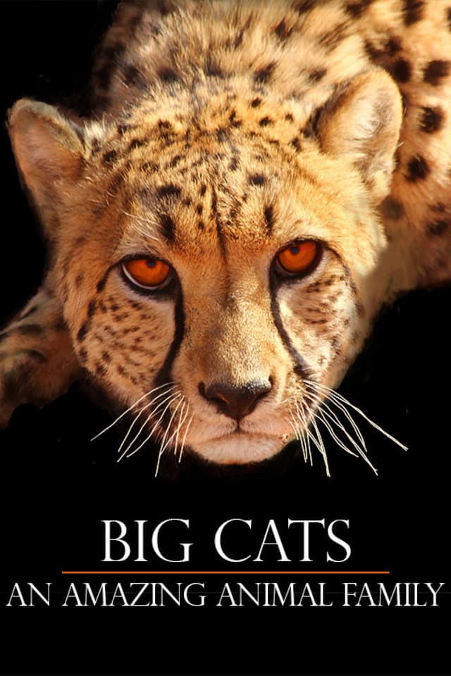 Big Cats: An Amazing Animal Family