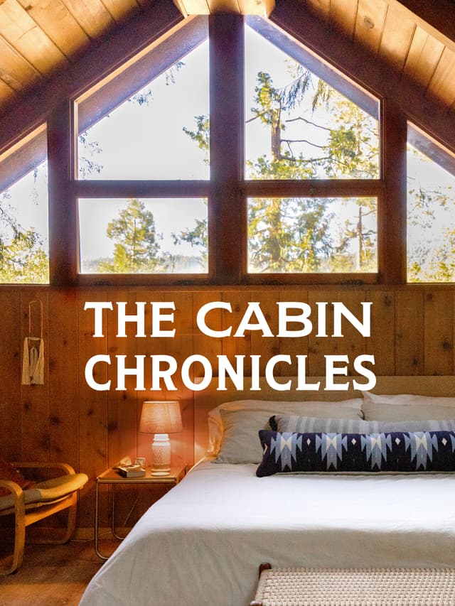 The Cabin Chronicles