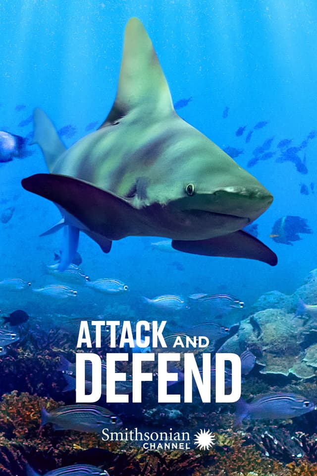 Attack and Defend