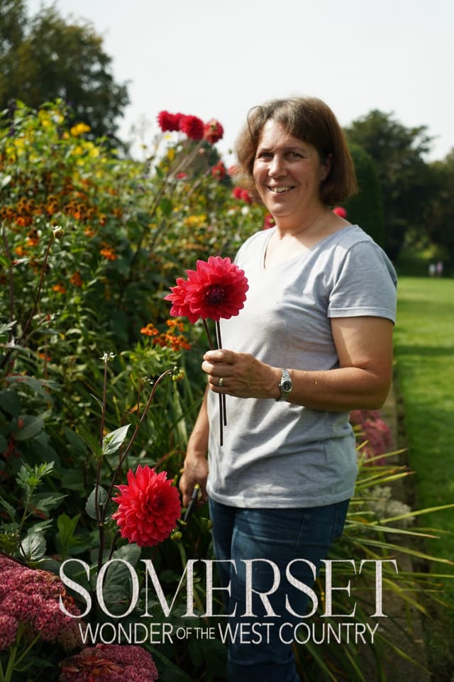 Somerset: Wonder of the West Country