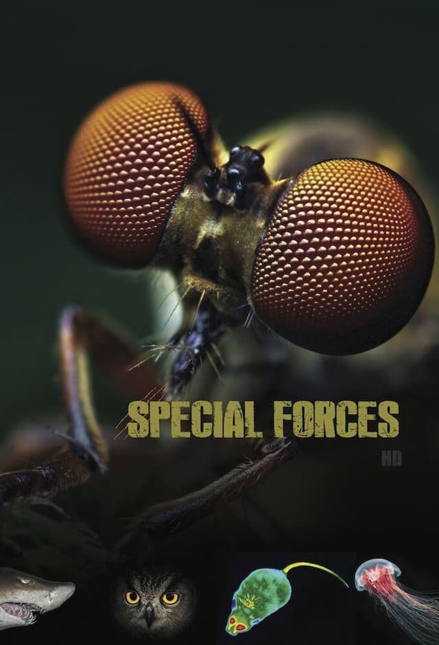 Animal Special Forces