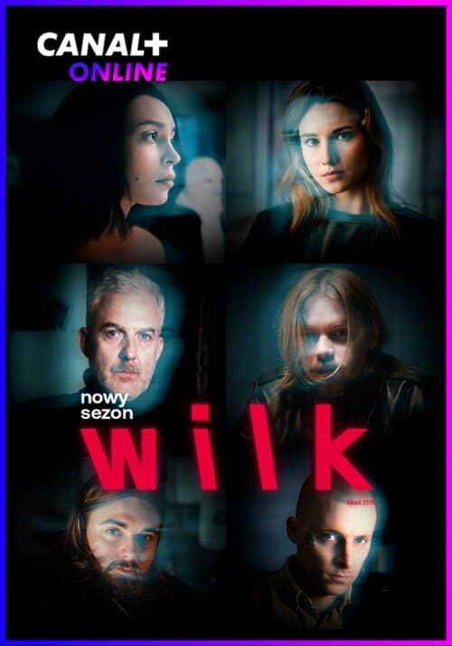 Wilk