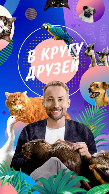 В кругу друзей