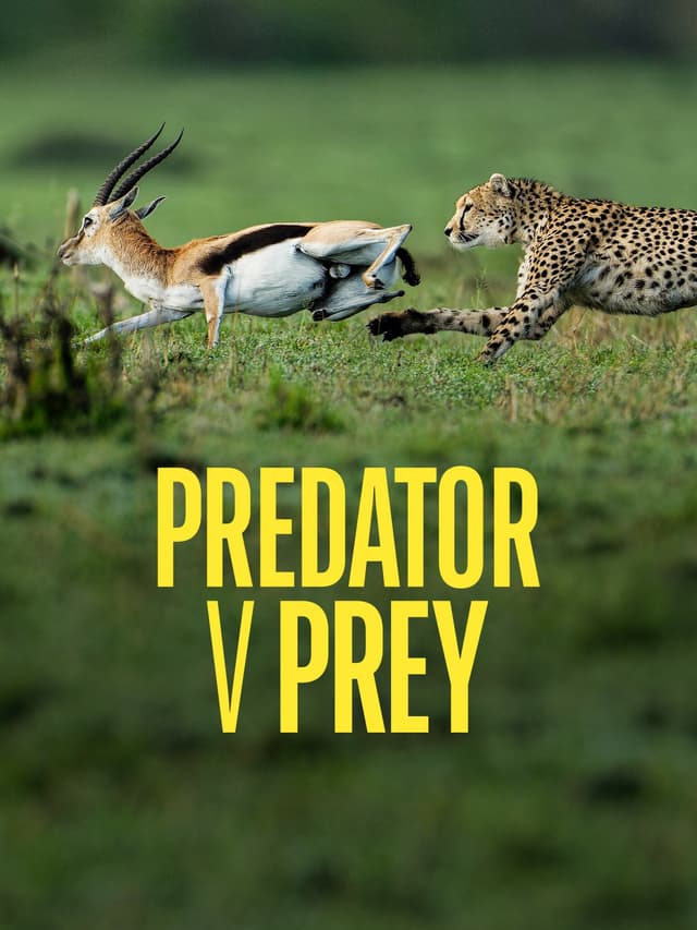 Predator vs Prey