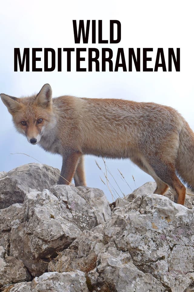 Wild Mediterranean