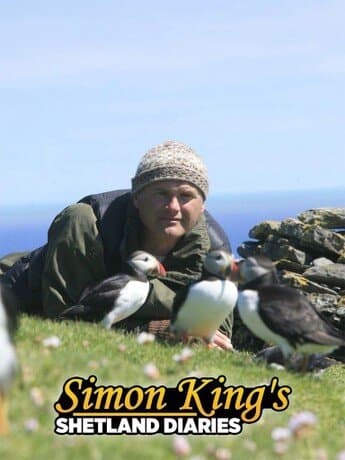 Simon King's Shetland Diaries