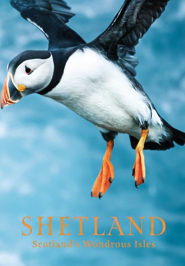 Shetland: Scotland's Wondrous Isles