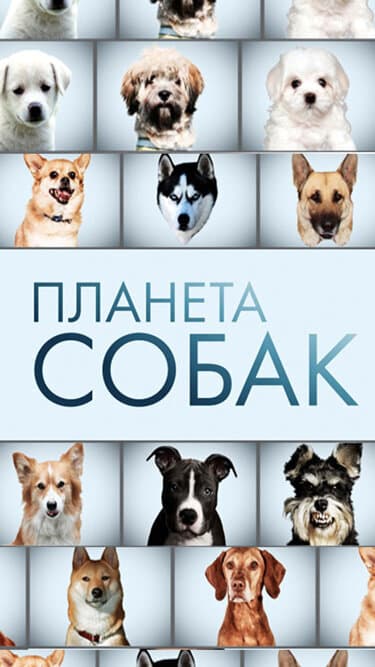Планета собак
