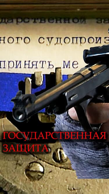 Государственная защита