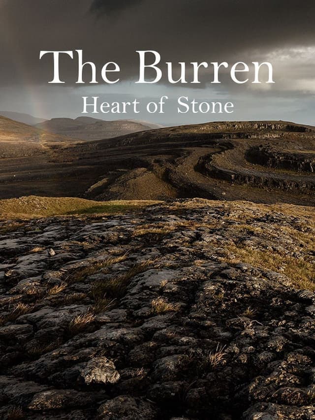 The Burren: Heart of Stone