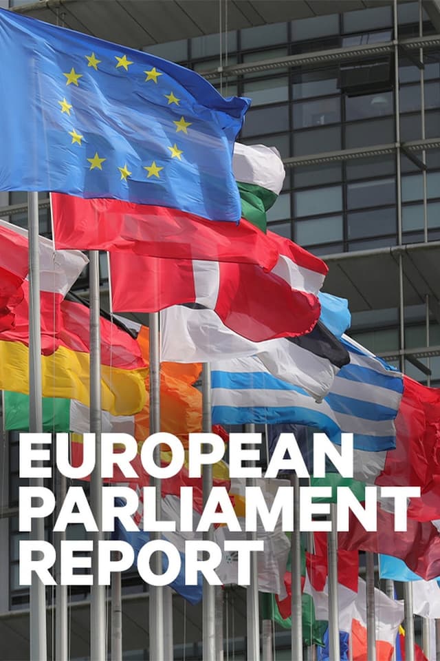 European Parliament Report