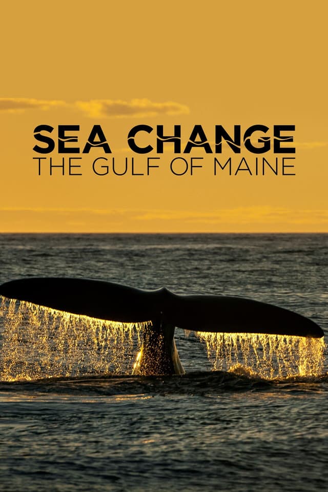Sea Change: The Gulf of Maine, a NOVA Special Presentation