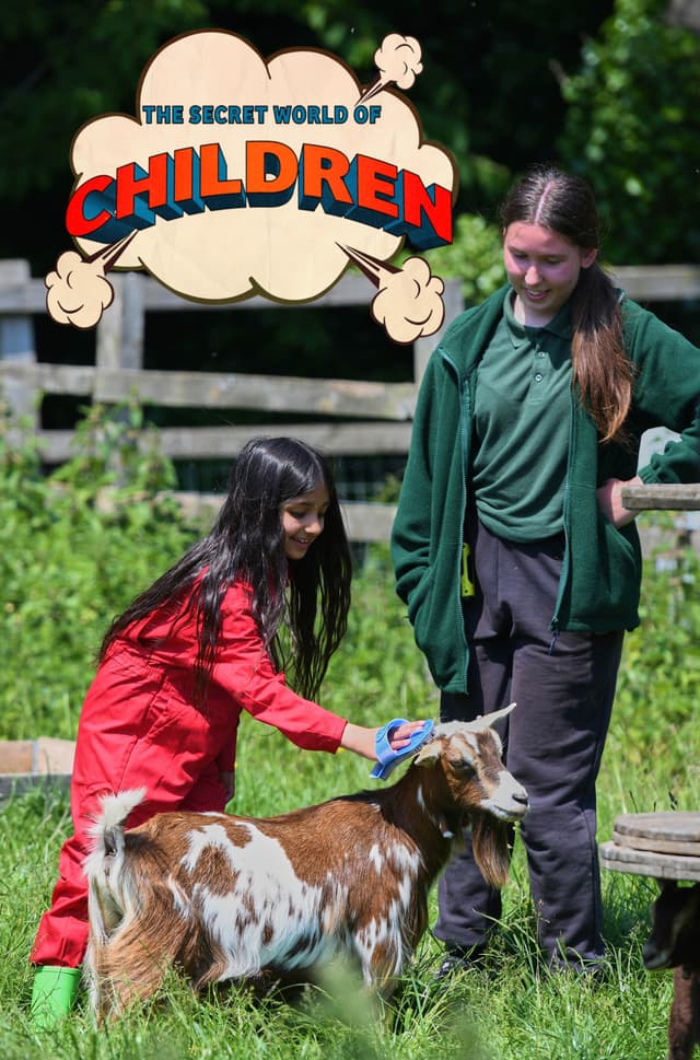 The Secret World of Children