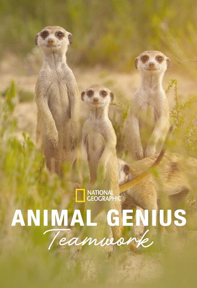 Animal Genius