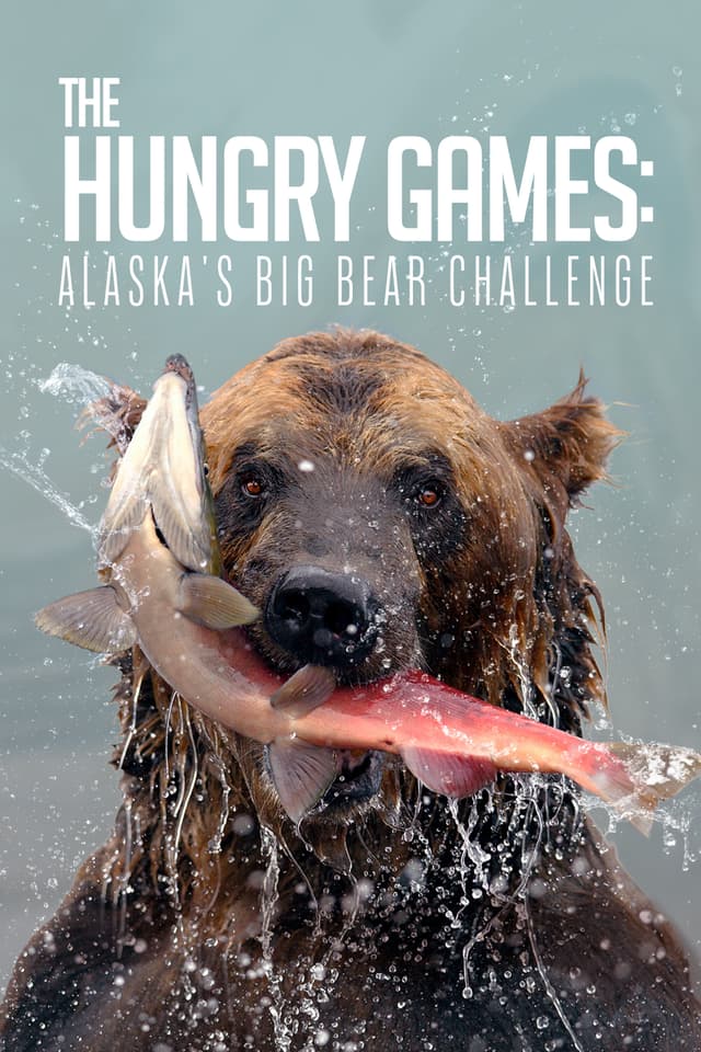 The Hungry Games: Alaska's Big Bear Challenge