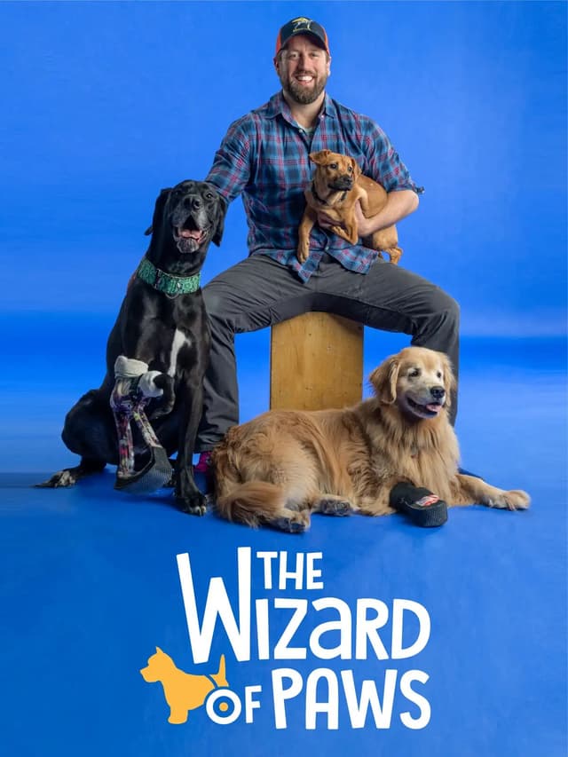 The Wizard of Paws