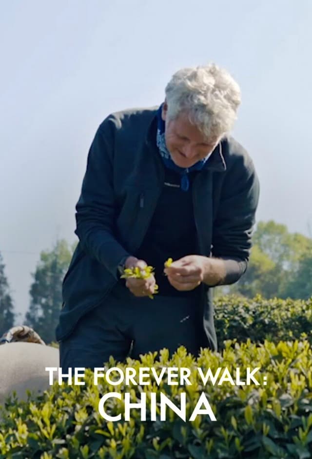 The Forever Walk: China
