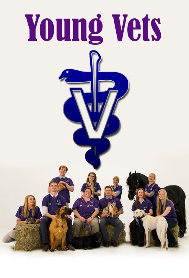 Young Vets