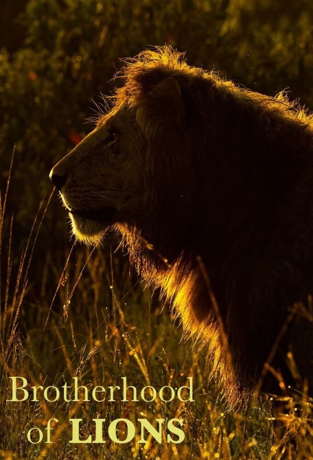 Brotherhood of Lions