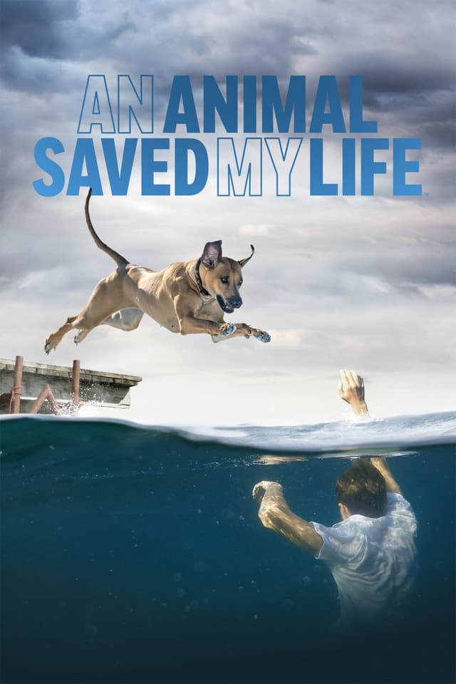 An Animal Saved My Life