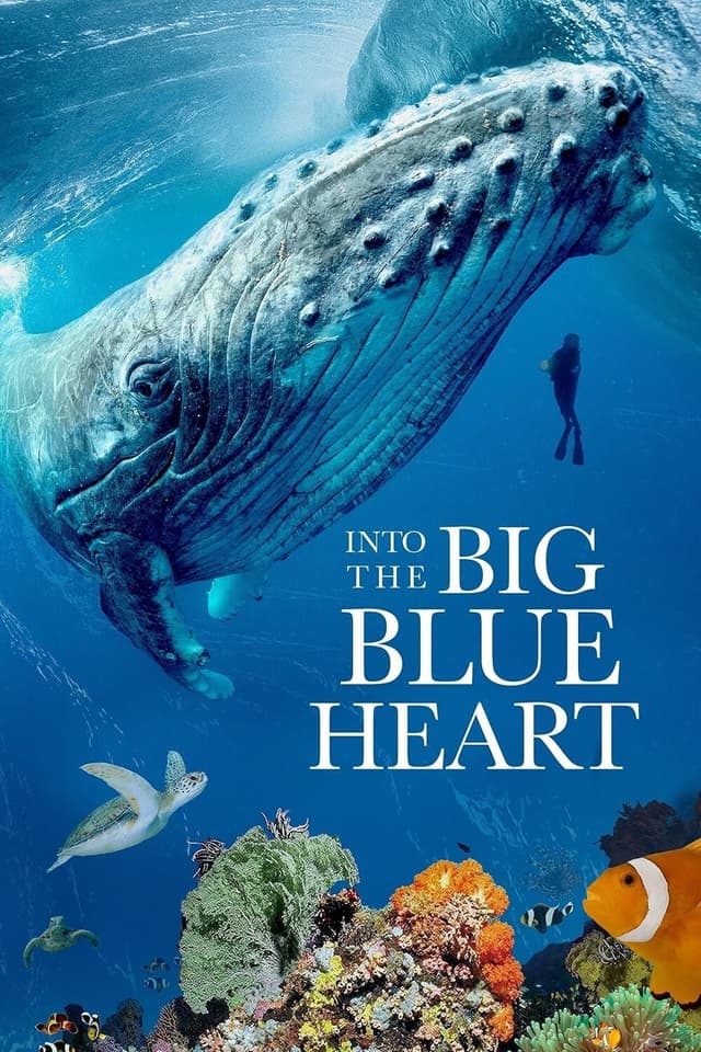Into the Big Blue Heart