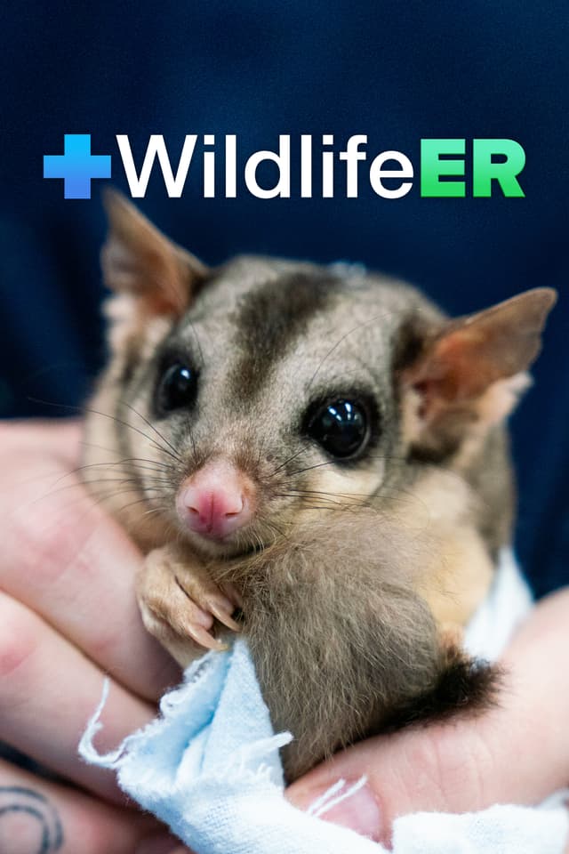 Wildlife ER