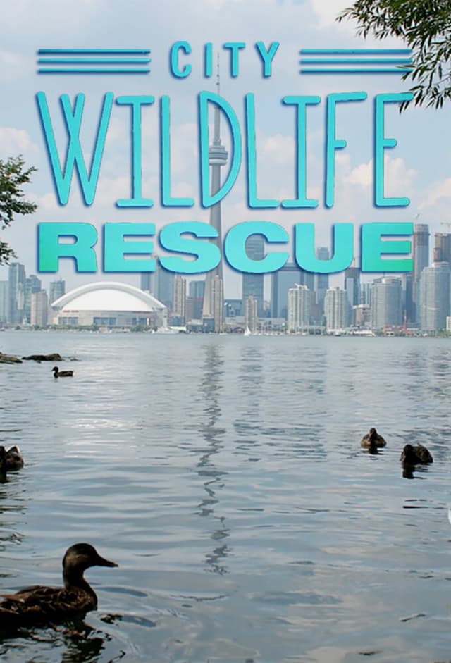 City Wildlife Rescue
