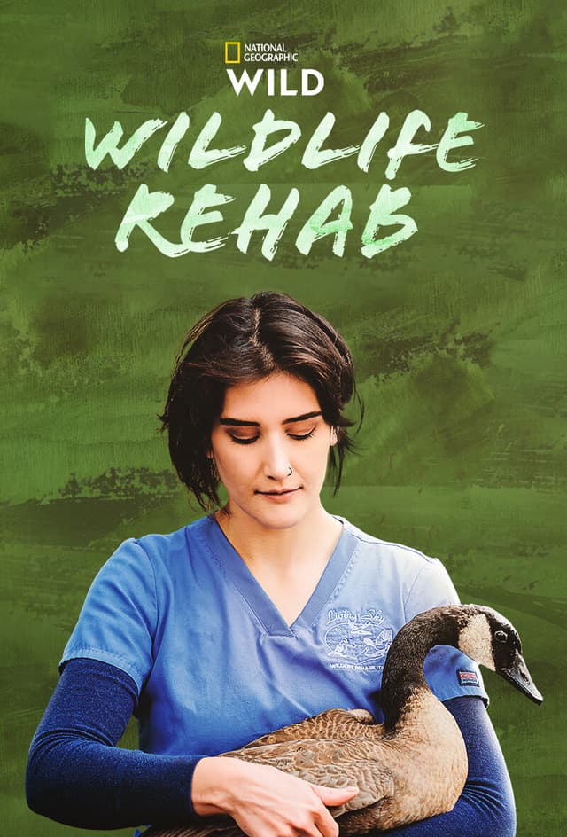 Wildlife Rehab